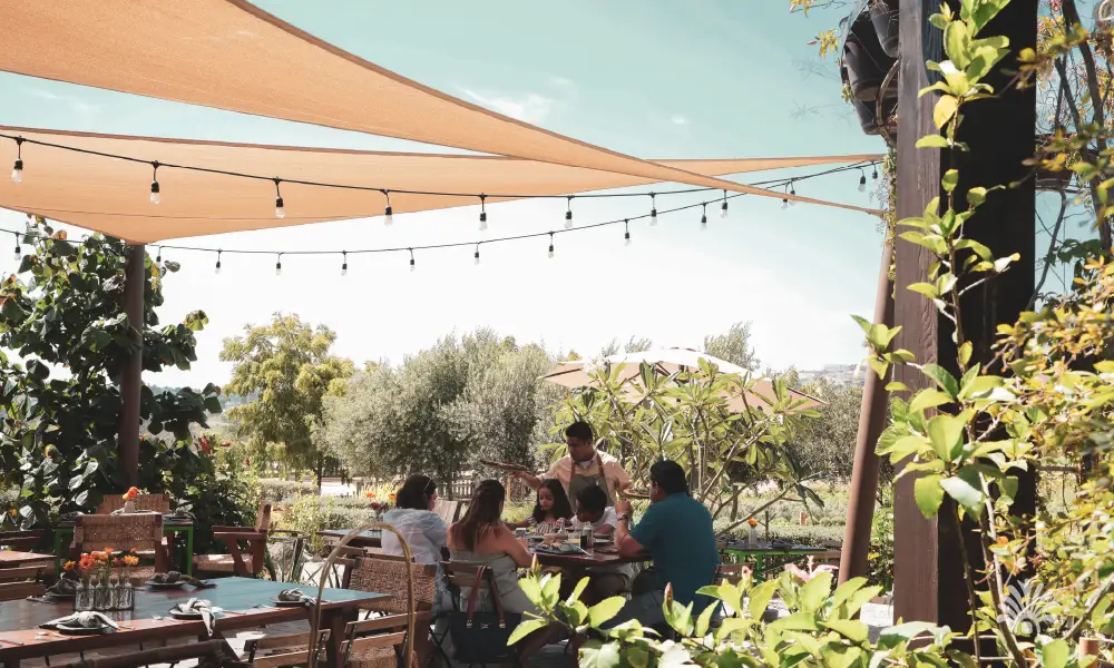 Destino-Los-Cabos-magazine_blog_Top Farm-to-Table Restaurants In Baja California Sur And The Local Farms Behind Them 06