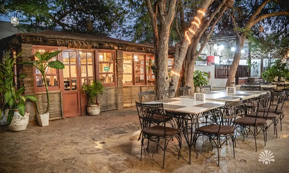 Destino-Los-Cabos-magazine_blog_Top Farm-to-Table Restaurants In Baja California Sur And The Local Farms Behind Them 07