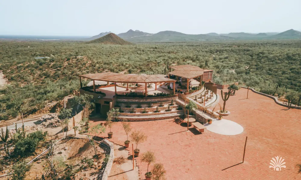 Destino-Los-Cabos-magazine_blog_Top Farm-to-Table Restaurants In Baja California Sur And The Local Farms Behind Them 08