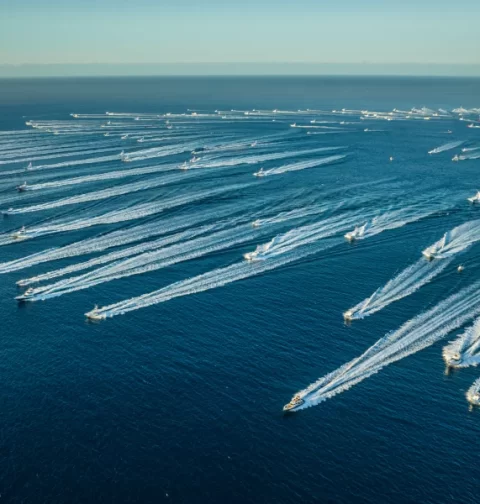 Destino-Los-Cabos-magazine_blog_Bisbee’s Black & Blue 2025_ The World’s Richest Fishing Tournament Begins in Cabo 01