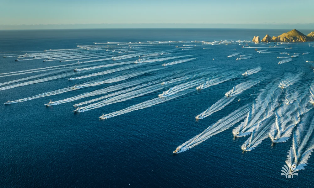 Destino-Los-Cabos-magazine_blog_Bisbee’s Black & Blue 2025_ The World’s Richest Fishing Tournament Begins in Cabo 01