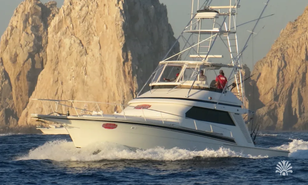 Destino-Los-Cabos-magazine_blog_Bisbee’s Black & Blue 2025_ The World’s Richest Fishing Tournament Begins in Cabo 02