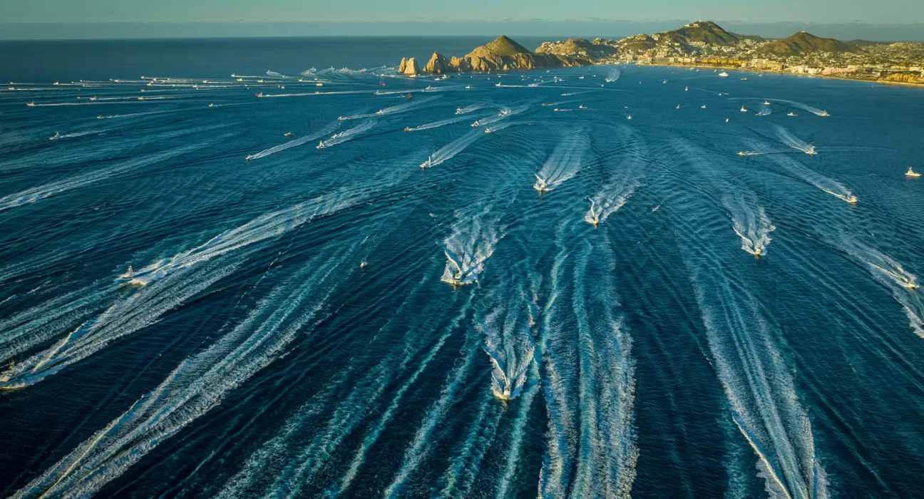 Destino-Los-Cabos-magazine_blog_Bisbee’s Black & Blue 2025_A Milestone Year and Million-Dollar Catches 01