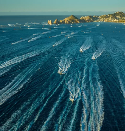 Destino-Los-Cabos-magazine_blog_Bisbee’s Black & Blue 2025_A Milestone Year and Million-Dollar Catches 01