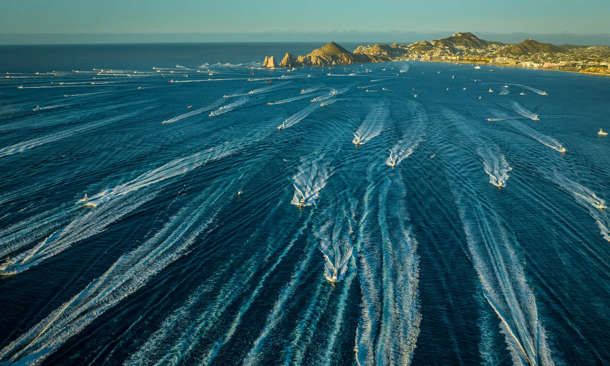 Destino-Los-Cabos-magazine_blog_Bisbee’s Black & Blue 2025_A Milestone Year and Million-Dollar Catches 01