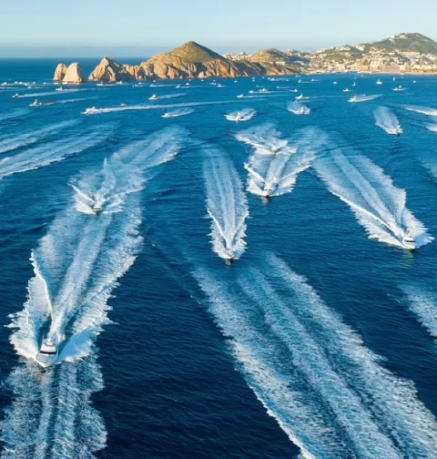 Destino-Los-Cabos-magazine_blog_Bisbee's Los Cabos Offshore 2025_ Precision, Persistence, and a 432-Pound Victory 01