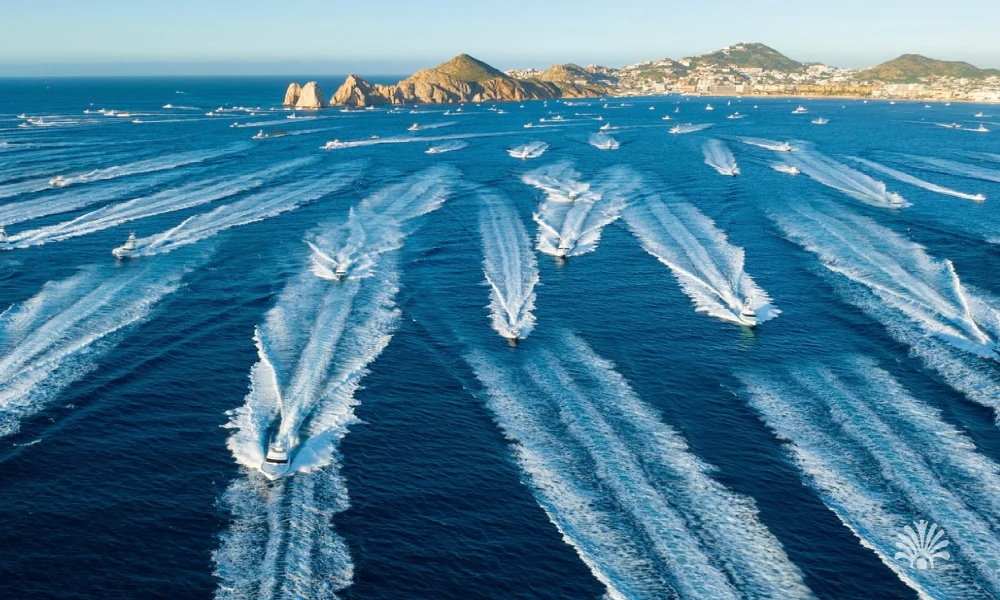 Destino-Los-Cabos-magazine_blog_Bisbee's Los Cabos Offshore 2025_ Precision, Persistence, and a 432-Pound Victory 01