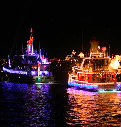 Destino-Los-Cabos-magazine_blog_Día de Muertos 2025 in Cabo San Lucas_ Parades, Festivals, and Gastronomy by the Sea 01