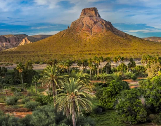 Destino-Los-Cabos-magazine_blog_Exploring La Purisima, Baja California Sur_ A Hidden Oasis of Nature and History 01