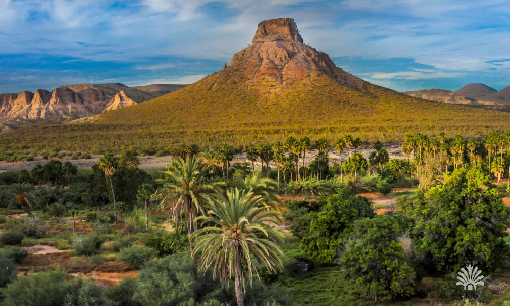 Destino-Los-Cabos-magazine_blog_Exploring La Purisima, Baja California Sur_ A Hidden Oasis of Nature and History 01