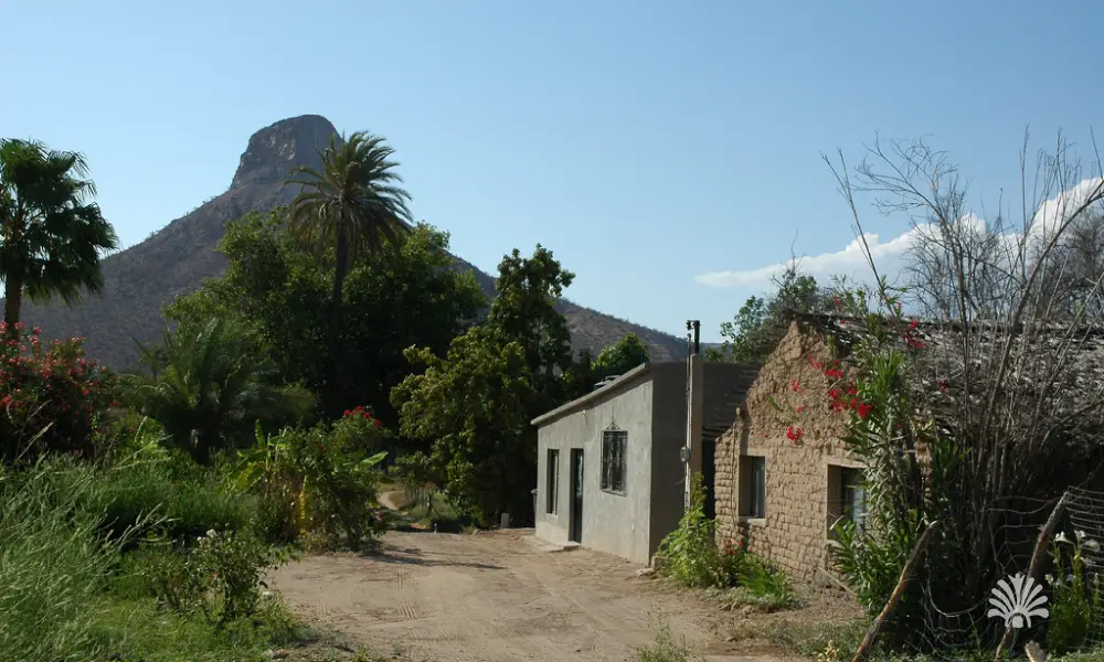 Destino-Los-Cabos-magazine_blog_Exploring La Purisima, Baja California Sur_ A Hidden Oasis of Nature and History 03