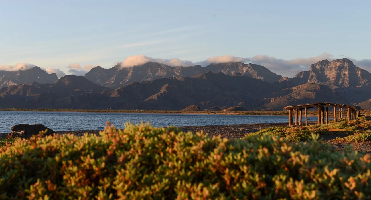 Destino-Los-Cabos-magazine_blog_Hiking in Baja California Sur_The Trails that Define the Peninsula 01