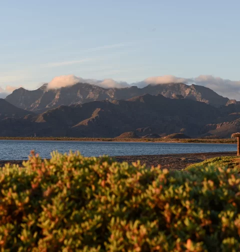 Destino-Los-Cabos-magazine_blog_Hiking in Baja California Sur_The Trails that Define the Peninsula 01