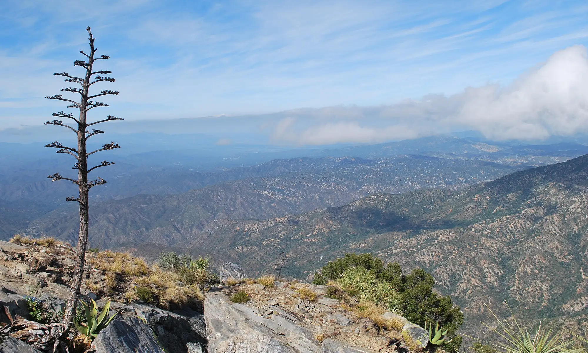 Destino-Los-Cabos-magazine_blog_Hiking in Baja California Sur_The Trails that Define the Peninsula 02