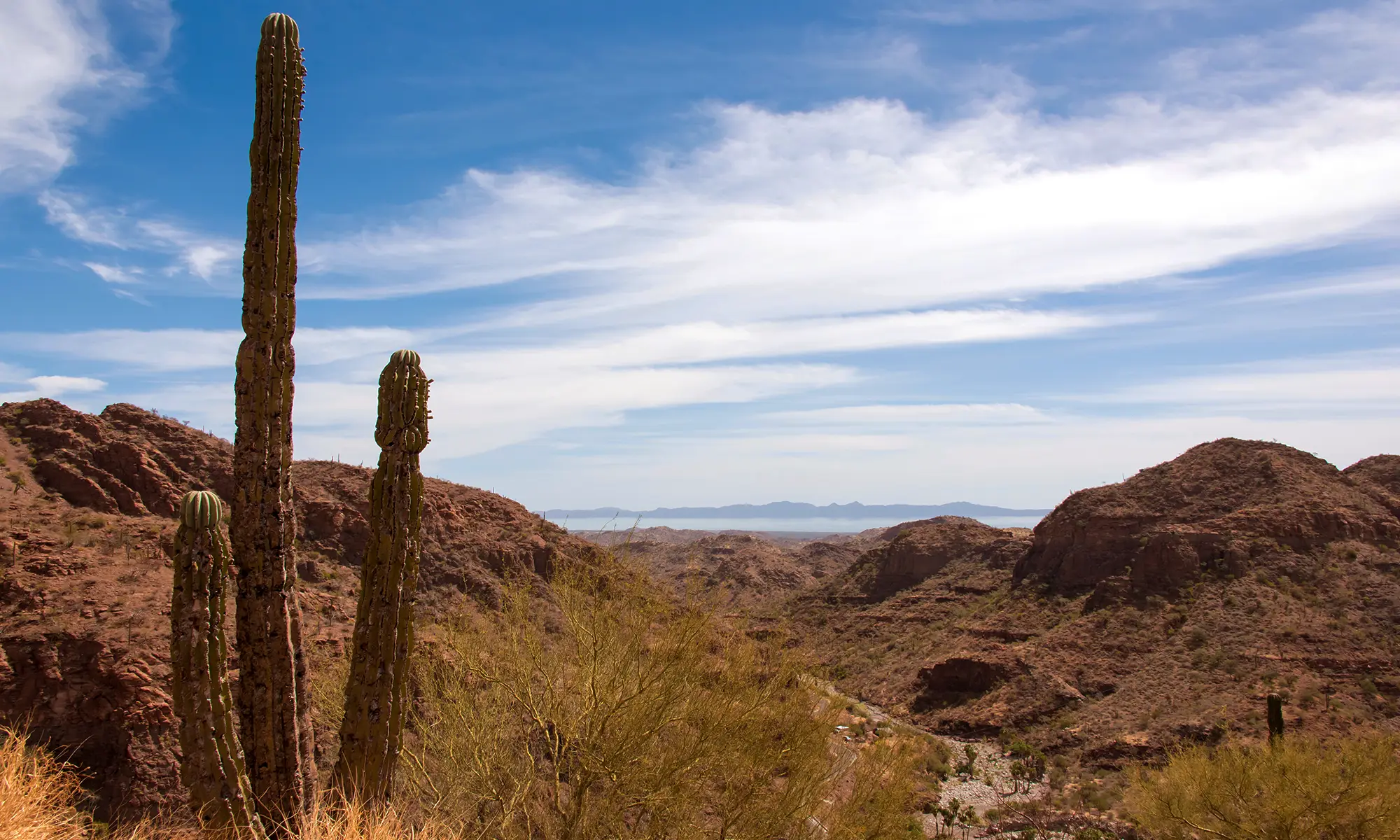 Destino-Los-Cabos-magazine_blog_Hiking in Baja California Sur_The Trails that Define the Peninsula 04