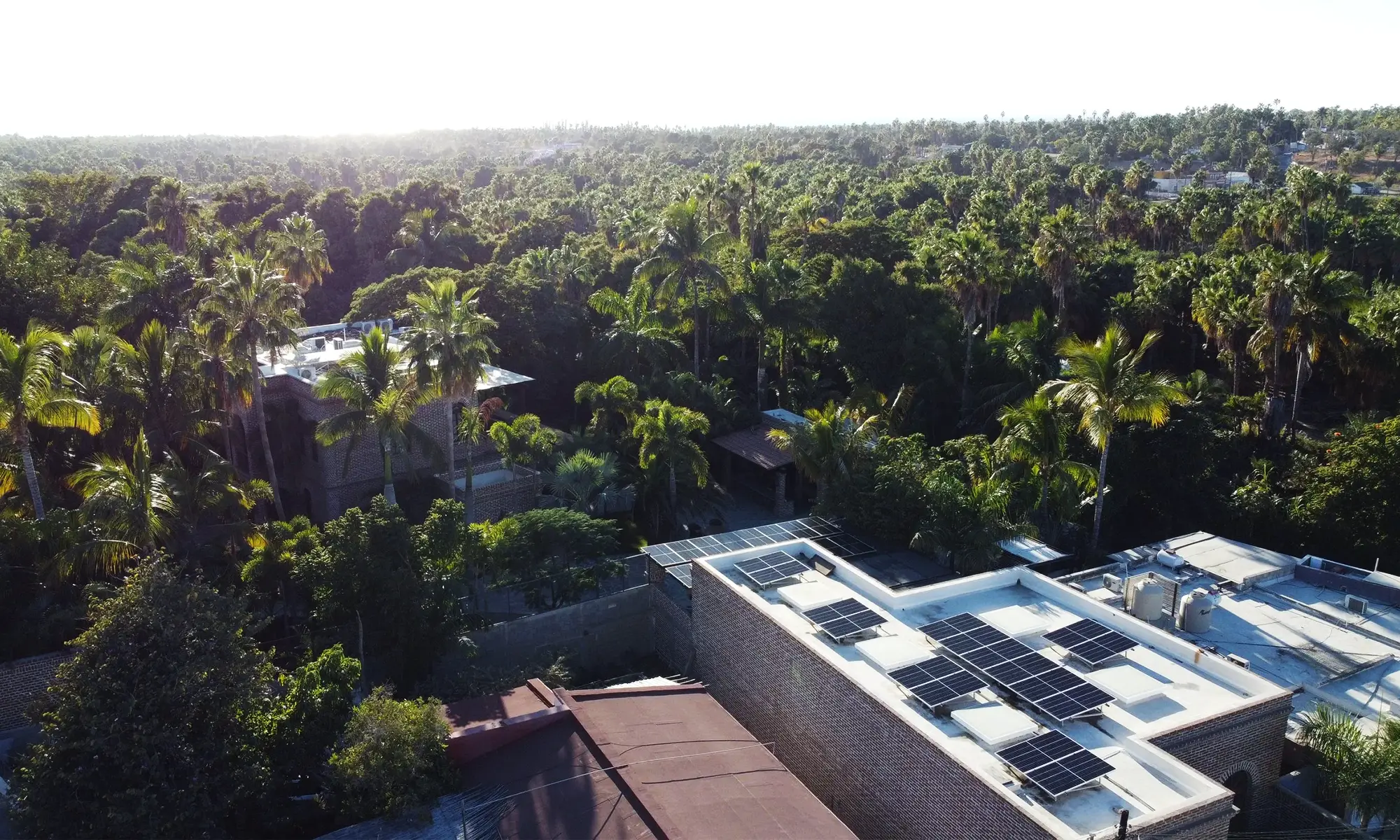 Destino-Los-Cabos-magazine_blog_Powering Independence_A Conversation on Solar Power with Diego Palacios 05