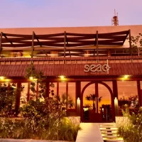 Destino-Los-Cabos-magazine_blog_The Clear Revolution_ Inside Cabo's First Conscious Bar 01