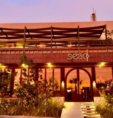 Destino-Los-Cabos-magazine_blog_The Clear Revolution_ Inside Cabo's First Conscious Bar 01