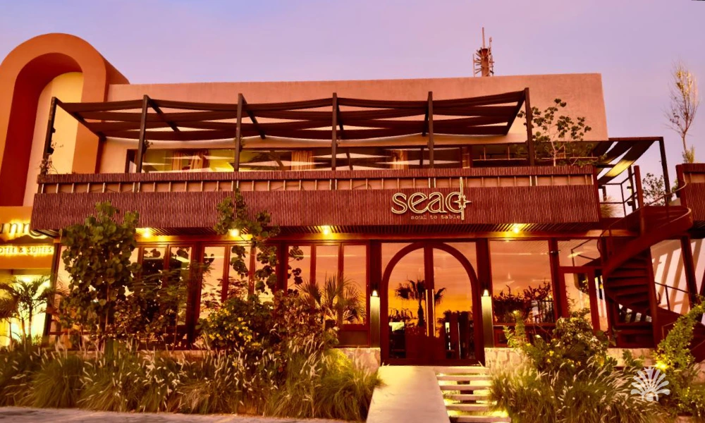 Destino-Los-Cabos-magazine_blog_The Clear Revolution_ Inside Cabo's First Conscious Bar 01