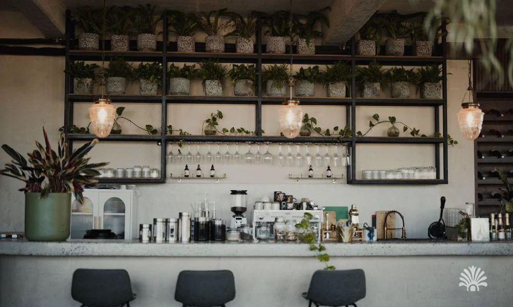 Destino-Los-Cabos-magazine_blog_The Clear Revolution_ Inside Cabo's First Conscious Bar 04