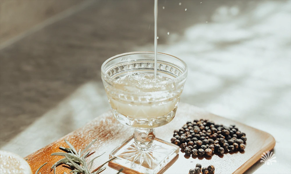 Destino-Los-Cabos-magazine_blog_The Clear Revolution_ Inside Cabo's First Conscious Bar 08