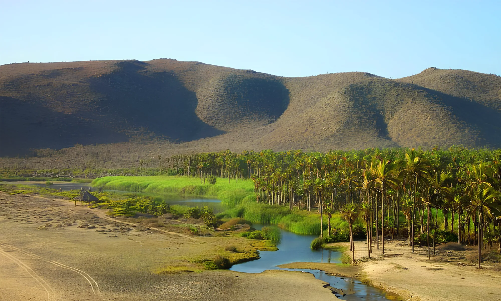 Destino-Los-Cabos-magazine_blog_Las Veredas del Agua_A Park for the Future of Todos Santos 02