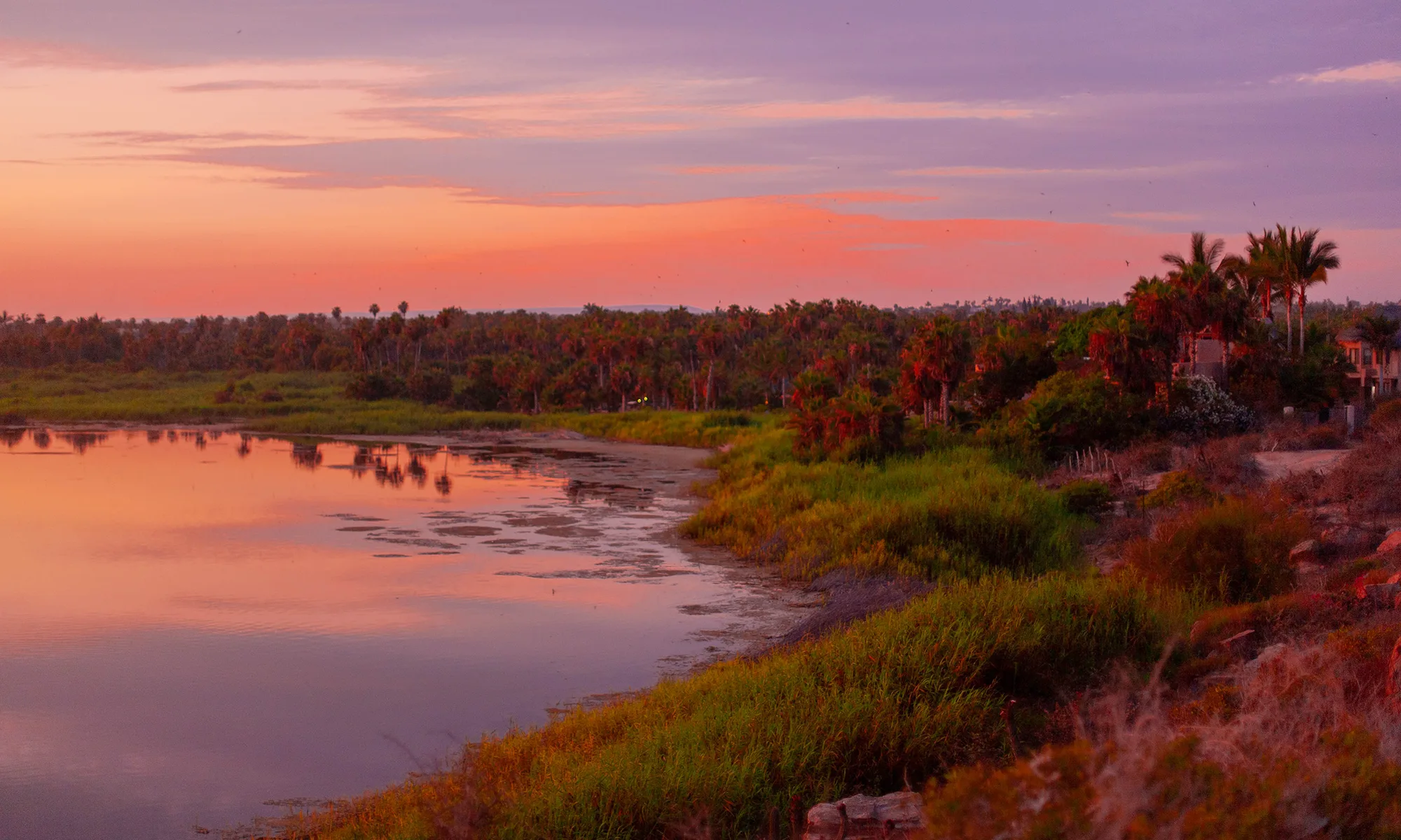 Destino-Los-Cabos-magazine_blog_Las Veredas del Agua_A Park for the Future of Todos Santos 05