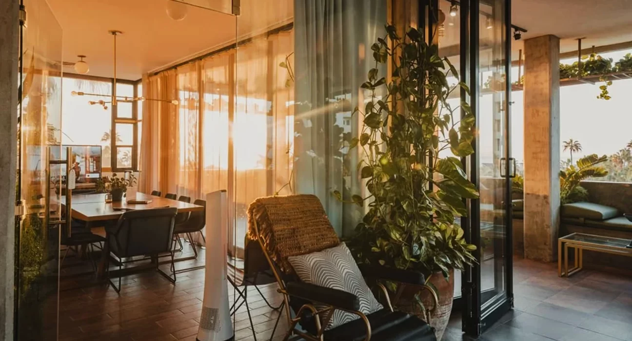 Destino-Los-Cabos-magazine_blog_Remote Work in Los Cabos_Reliable Spots to Open Your Laptop and Get Things Done 01