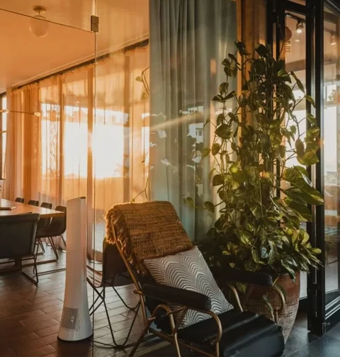 Destino-Los-Cabos-magazine_blog_Remote Work in Los Cabos_Reliable Spots to Open Your Laptop and Get Things Done 01