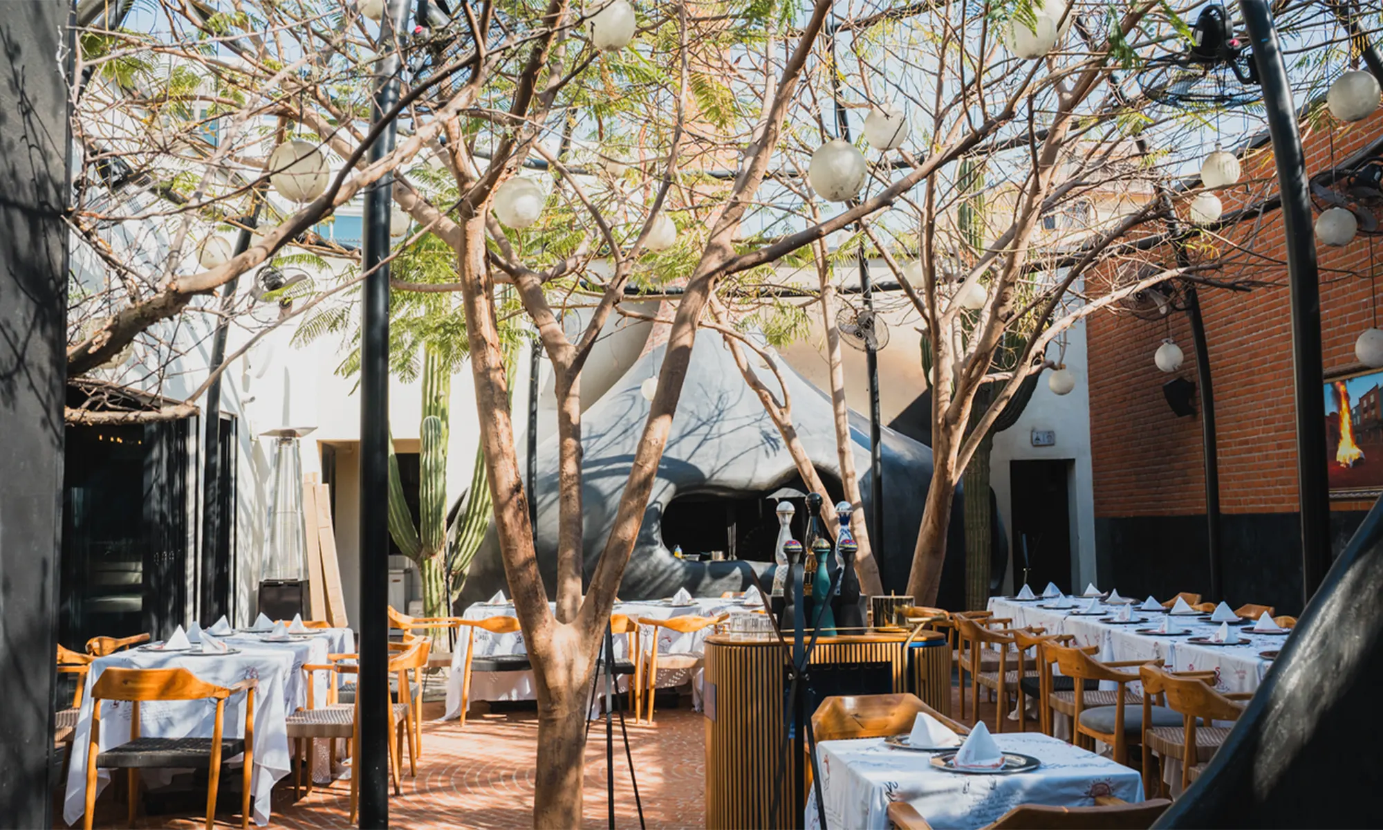 Destino-Los-Cabos-magazine_blog_New Year’s Eve Dining Across Baja California Sur 06