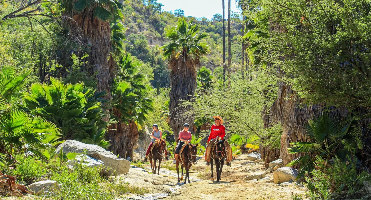 Destino-Los-Cabos-magazine_blog_The Wild Still Lives Here_Rethinking Adventure in a Changing Cabo 01