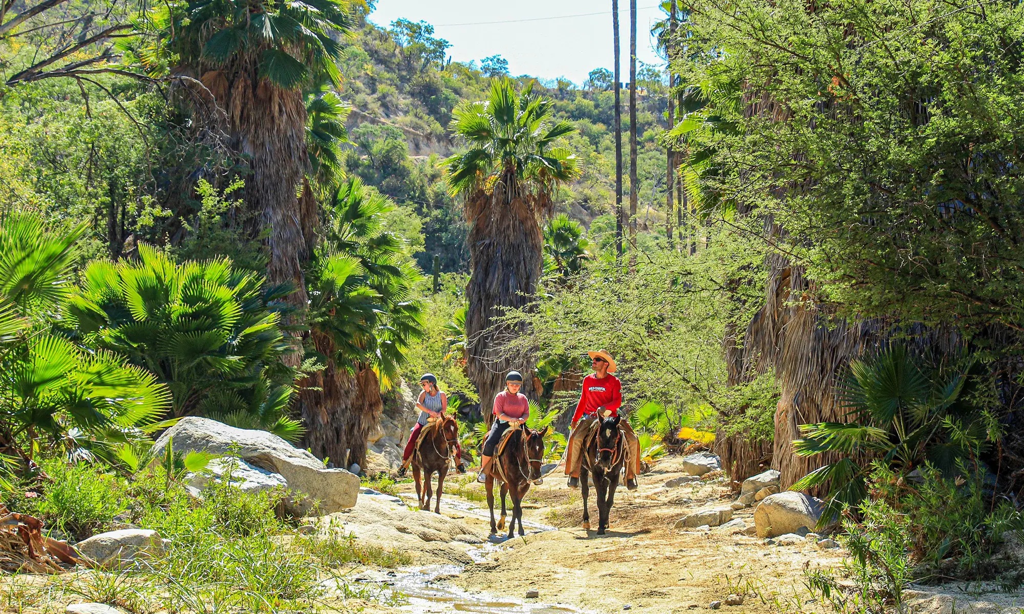 Destino-Los-Cabos-magazine_blog_The Wild Still Lives Here_Rethinking Adventure in a Changing Cabo 01