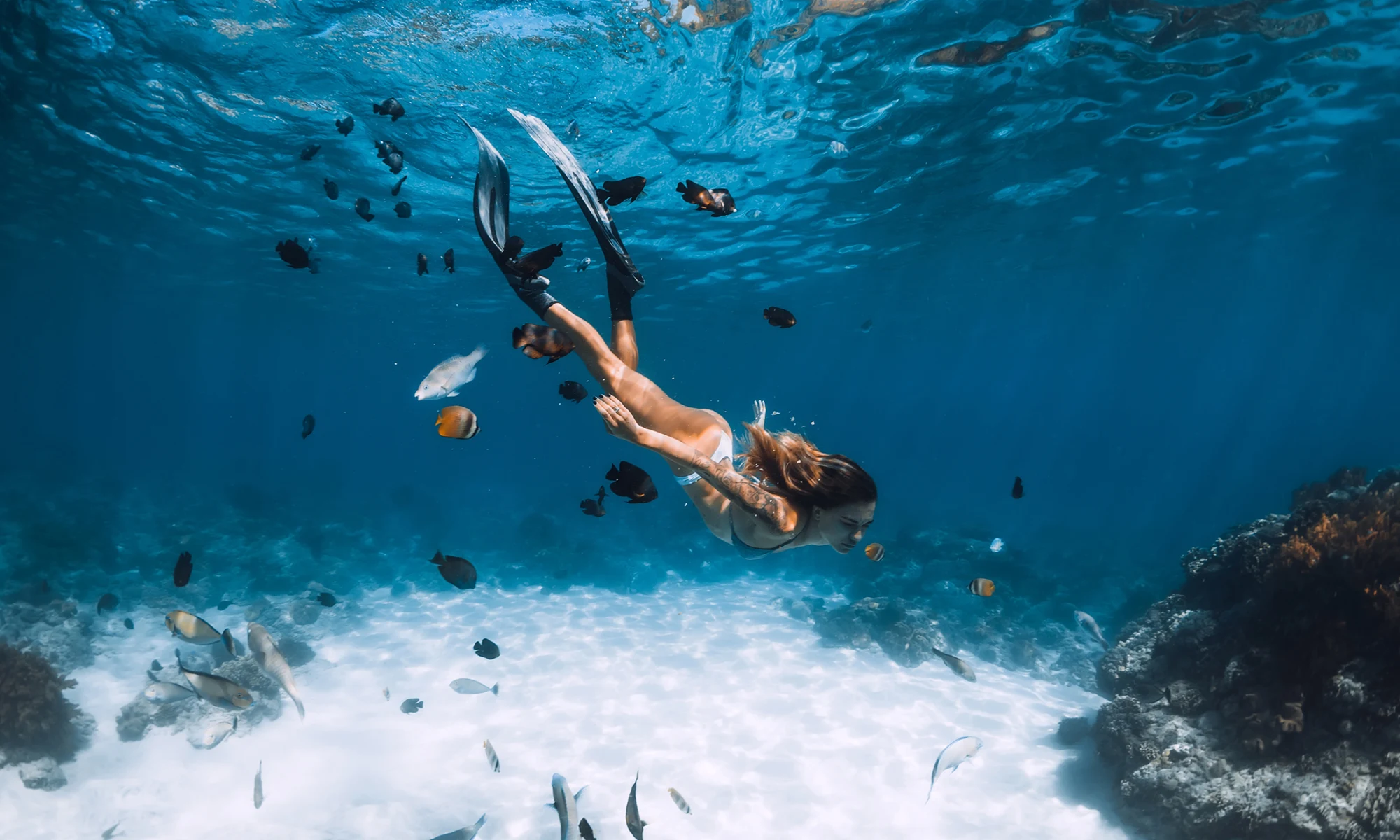 Destino-Los-Cabos-magazine_blog_The Wild Still Lives Here_Rethinking Adventure in a Changing Cabo 02