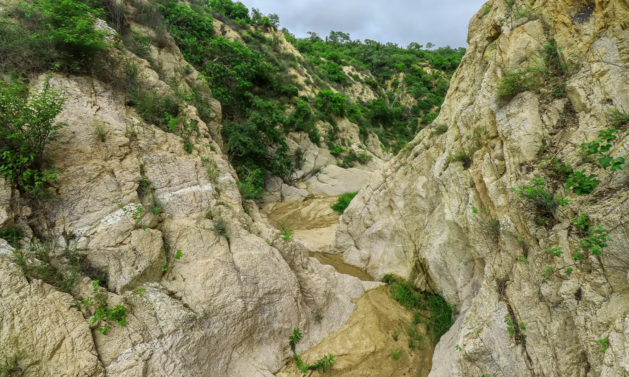 Destino-Los-Cabos-magazine_blog_The Wild Still Lives Here_Rethinking Adventure in a Changing Cabo 05