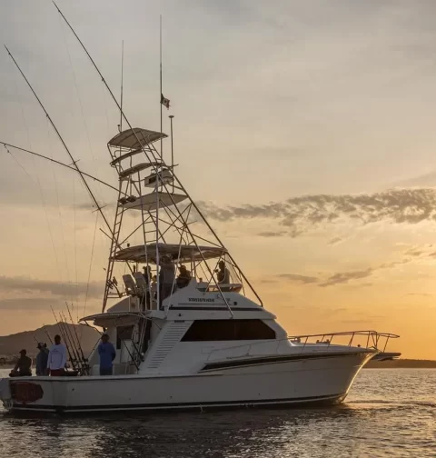 Destino-Los-Cabos-magazine_blog_Why Anglers Call Los Cabos the World's Top Fishery 01