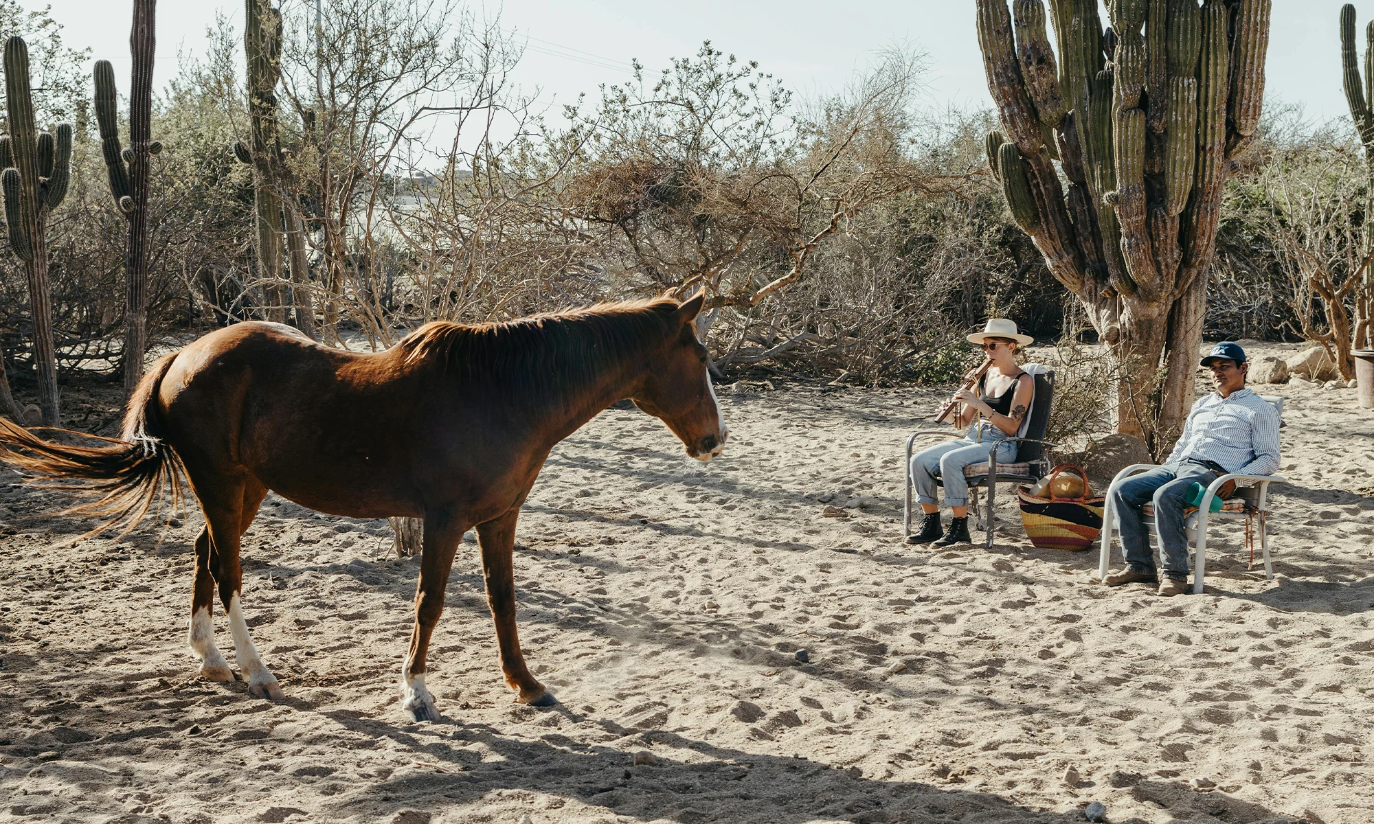 Destino-Los-Cabos-magazine_blog_Building the Future of Todos Santos, on Its Own Terms 04