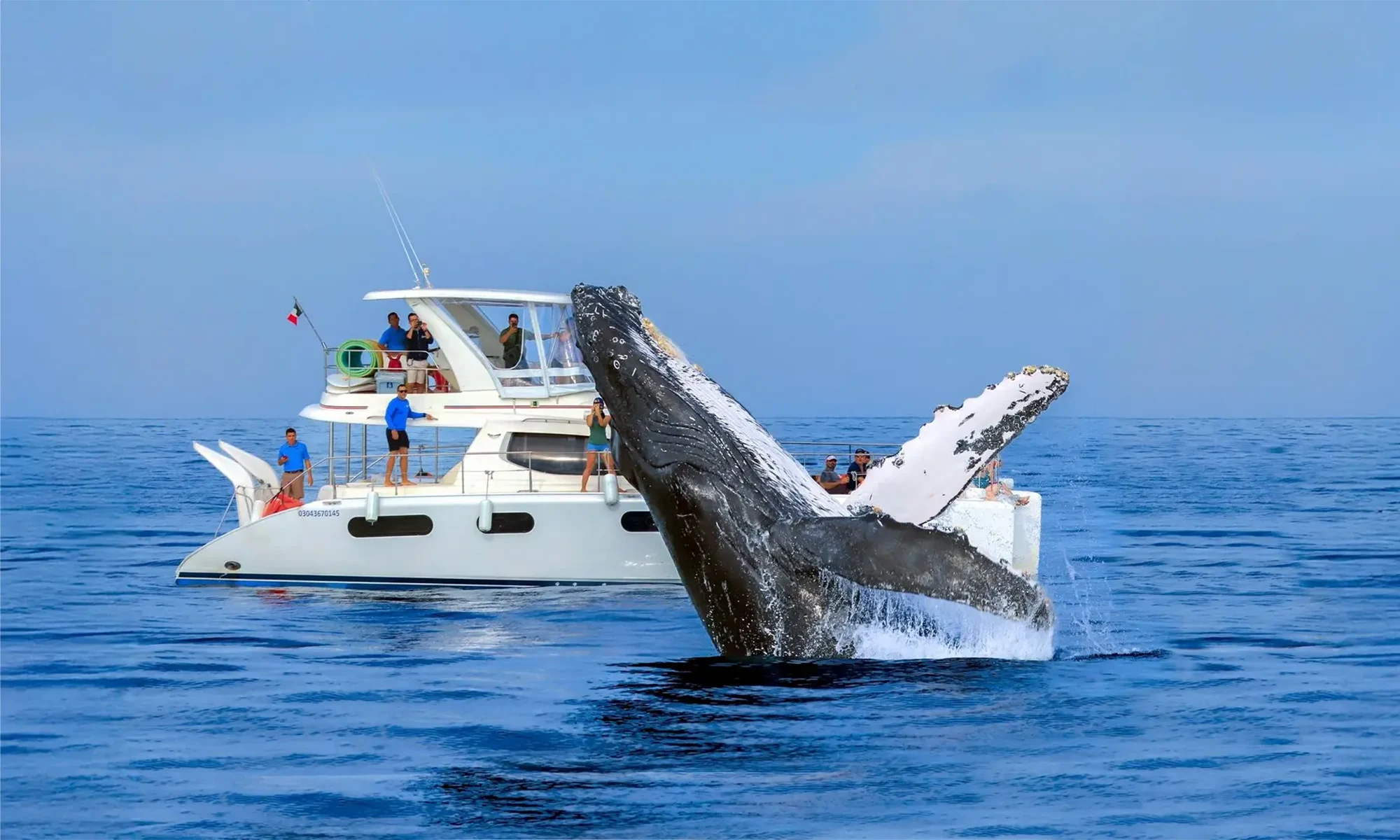 Destino-Los-Cabos-magazine_blog_On the Whales' Terms_ What Responsible Whale Watching Really Means in South Baja 04