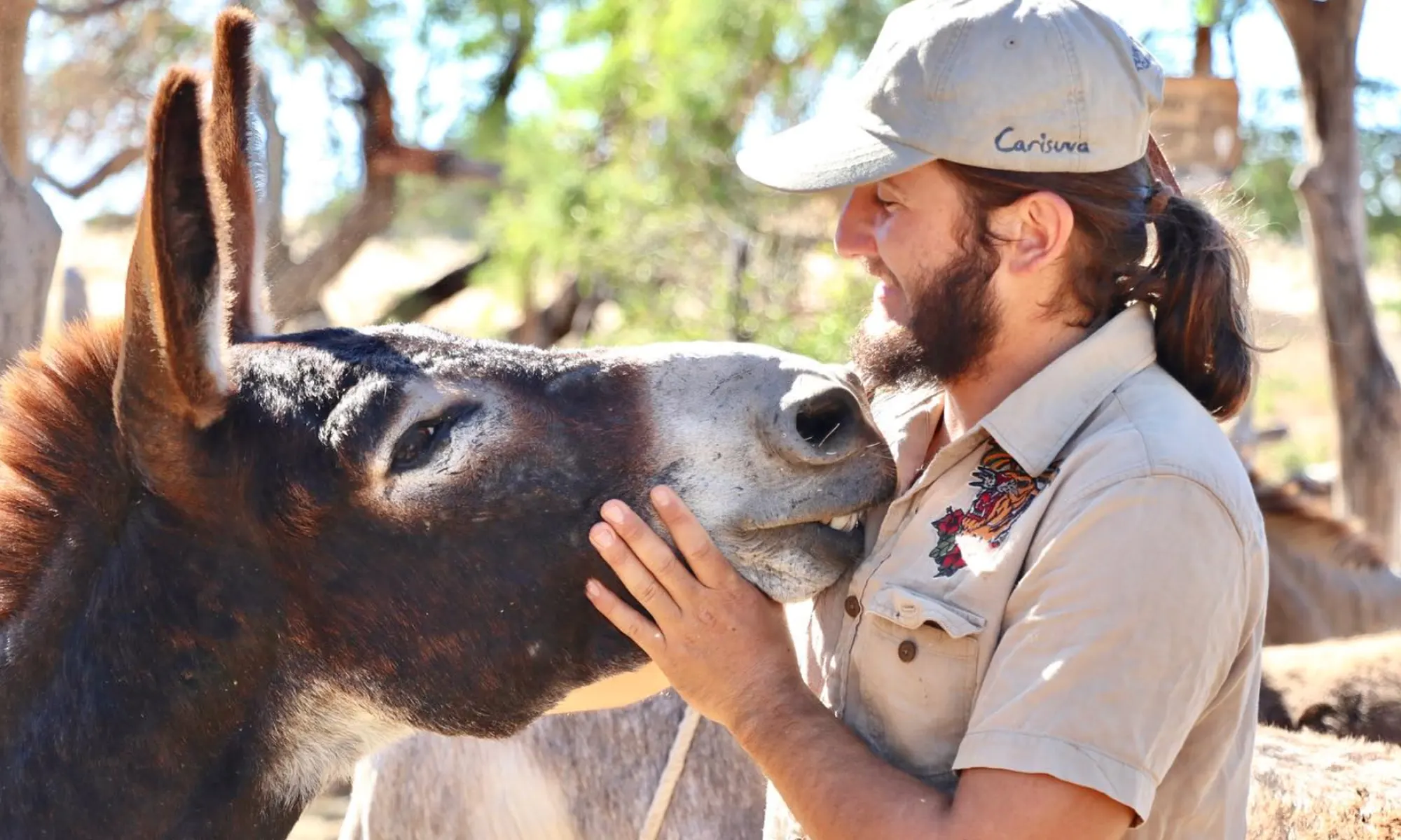 Destino-Los-Cabos-magazine_blog_Fifteen Burros and a Legal Grey Area in Baja California Sur 03