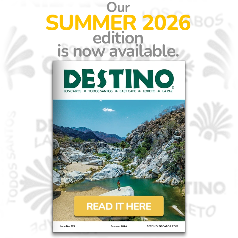 Destino-Los-Cabos-banner new issue